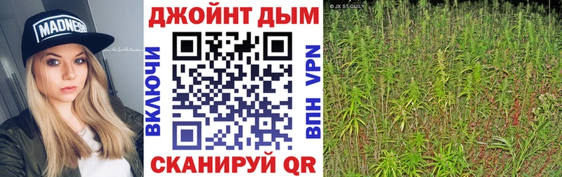 Галлюциногенные грибы Сокол