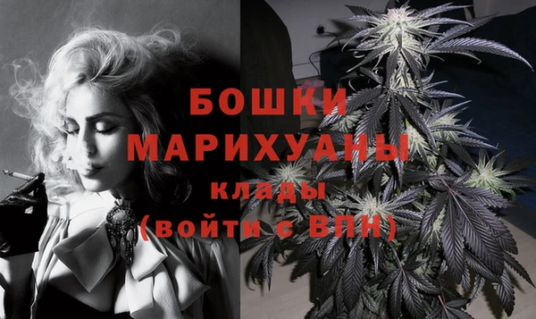 apvp Аркадак