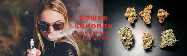 apvp Аркадак