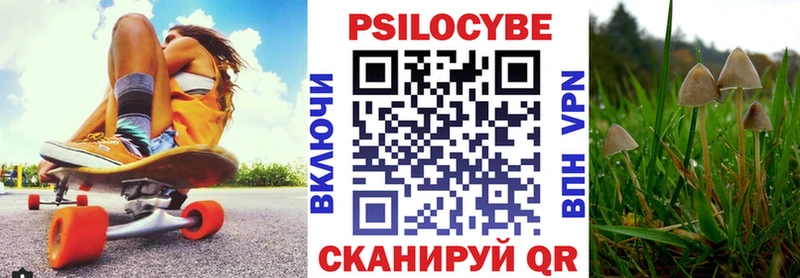 кракен ONION  Сокол  Галлюциногенные грибы мухоморы  где продают  