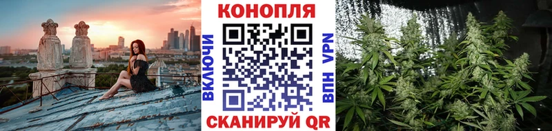 Бошки марихуана тримм  Сокол 